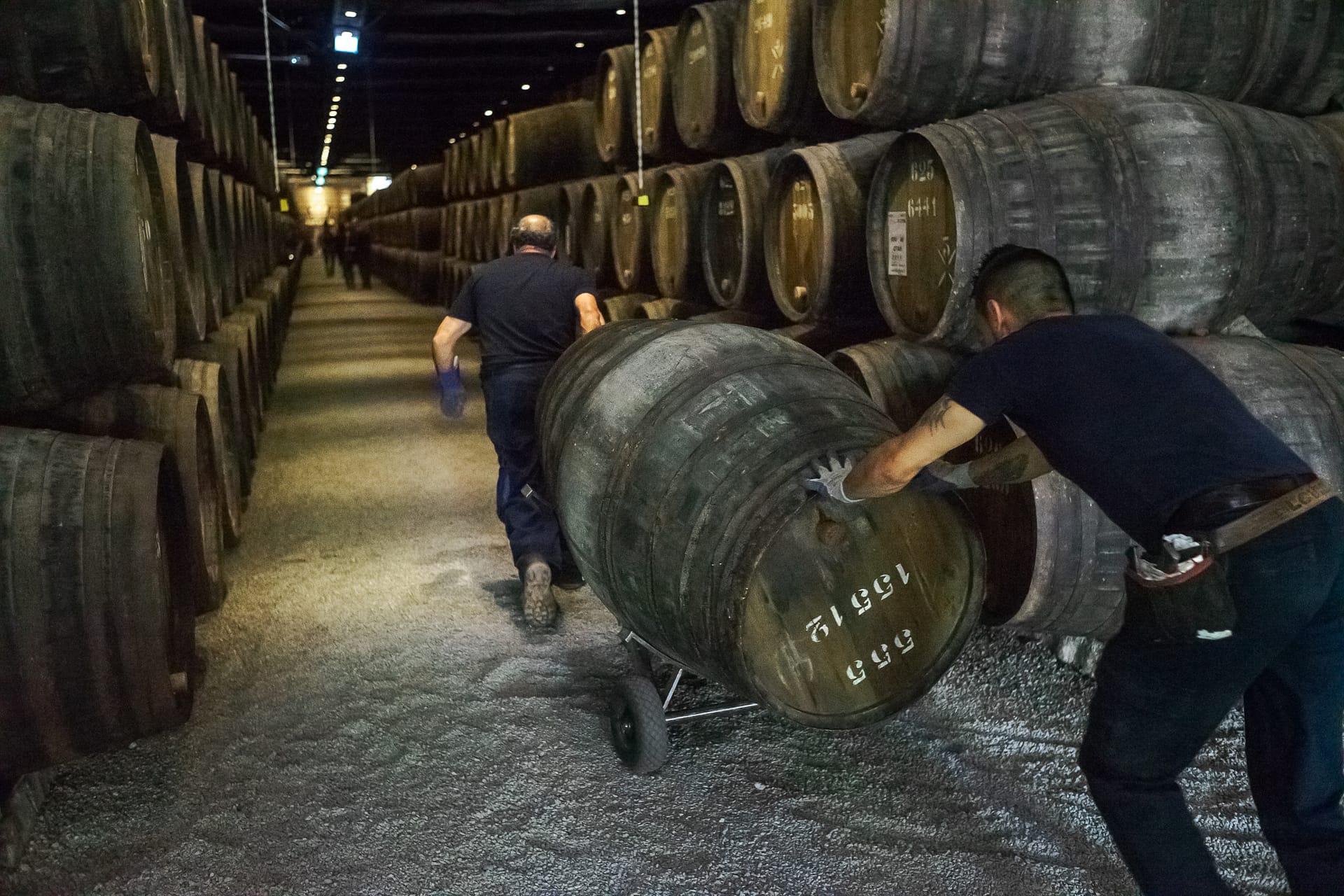 Workers of Portwine storage pull a cask with wine.